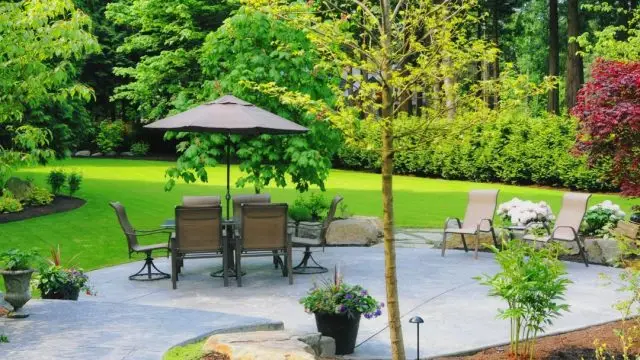 xr:d:DAFpGE1yx0w:25,j:1677987893441050002,t:23071917